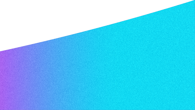 Level 7