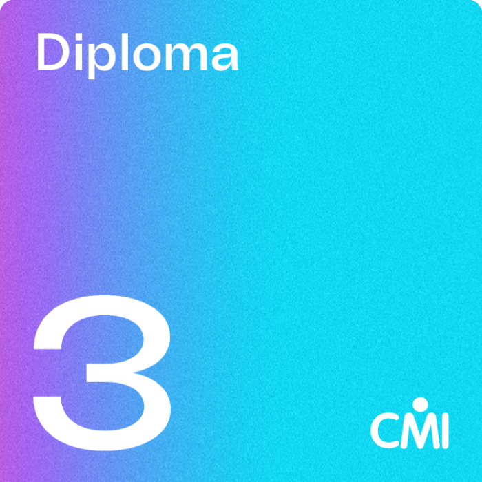 CMI Level 3 Diploma in the Principles of Management & Leadership (3D30)