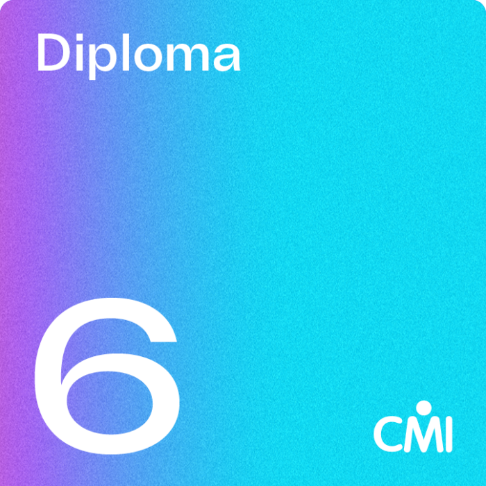 CMI Level 6 Diploma in Professional Management and Leadership Practice (6D30)