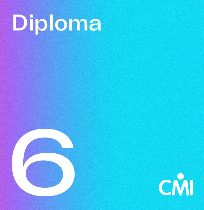 CMI Level 6 Diploma in Professional Management and Leadership Practice (6D30)