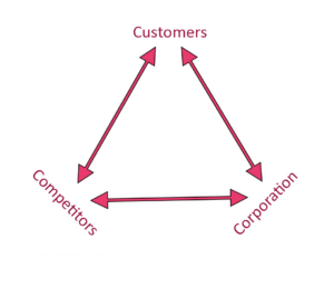 Ohmae's 3C Model