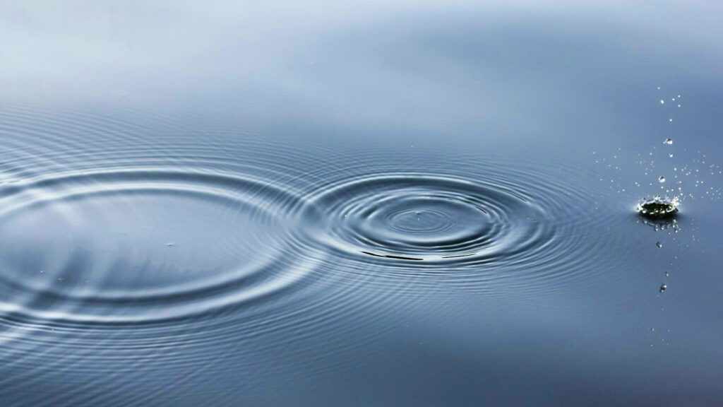 Leadership coaching can create a ripple throughout an organisation.